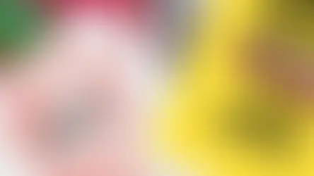 Alerj aprova projeto de combate ao abuso contra mulheres no transporte coletivo