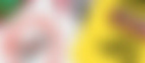 Alerj aprova projeto de combate ao abuso contra mulheres no transporte coletivo