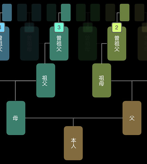 家系図作成　　4系統 選べる3つの家系調査プラン | 家系図作成WEB