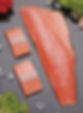 CHUM SALMON/Oncorhynchus Keta