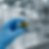 Gemini_Generated_Image_68bift68bift68bi.png