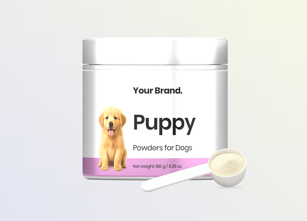 puppy.jpg