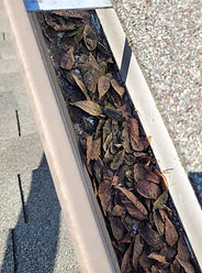 Gutter Cleaning.jpg