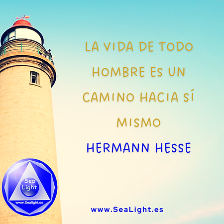 sealight escuela crecimiento personal