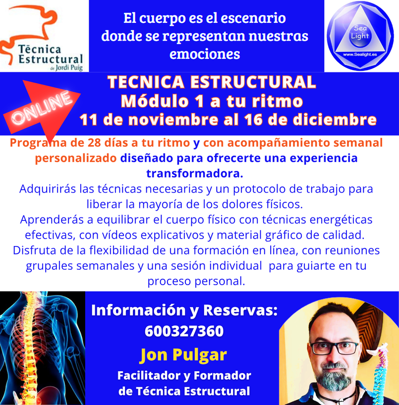 curso tecnica estructural online