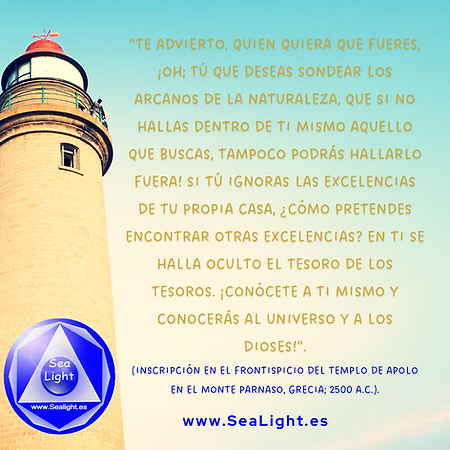 sealight escuela crecimiento personal