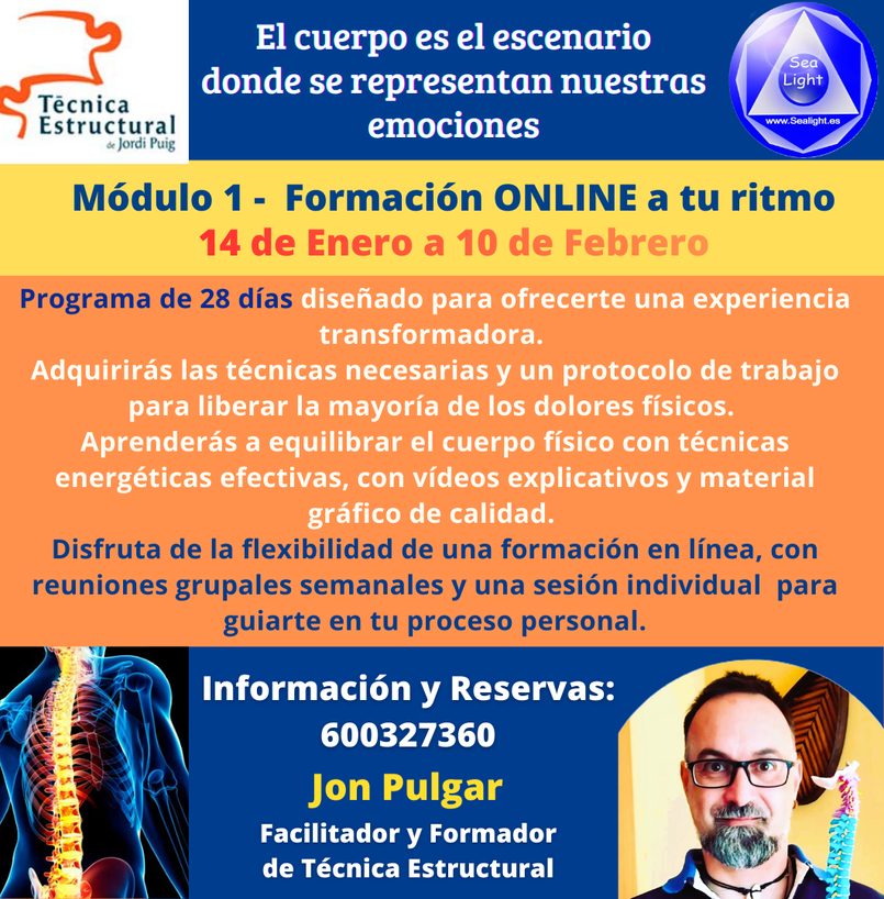 Curso Técnica Estructural ONLINE