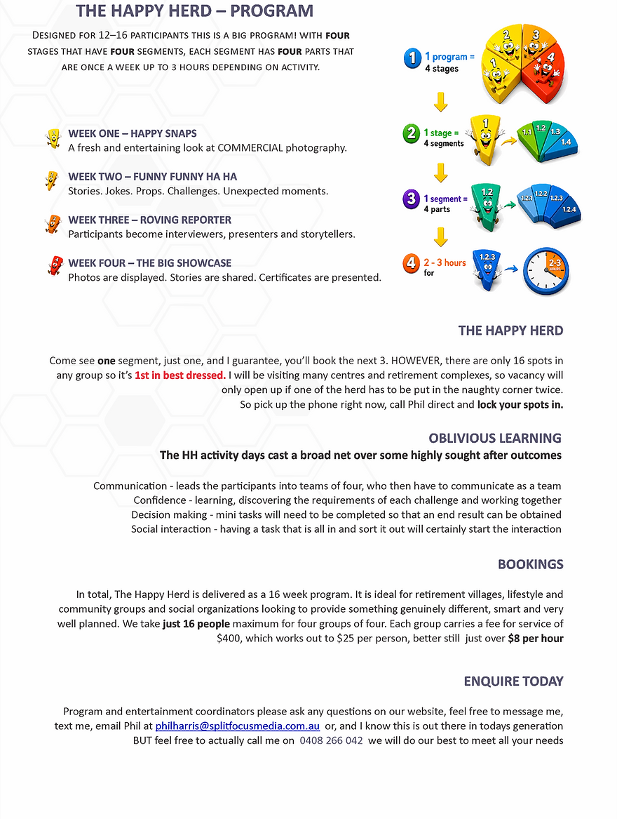 PitchPage2.png