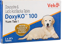 DoxyKo 100.png
