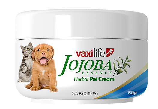 Vaxilife_Cream50.png