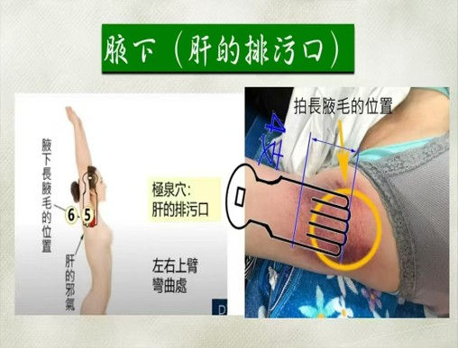 足太阴脾经 (图片来源于网络, 侵删)