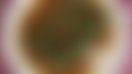 海苔豆包卷素鱼