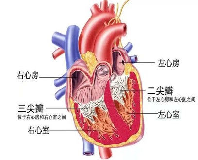 (图片来源于网络, 侵删)