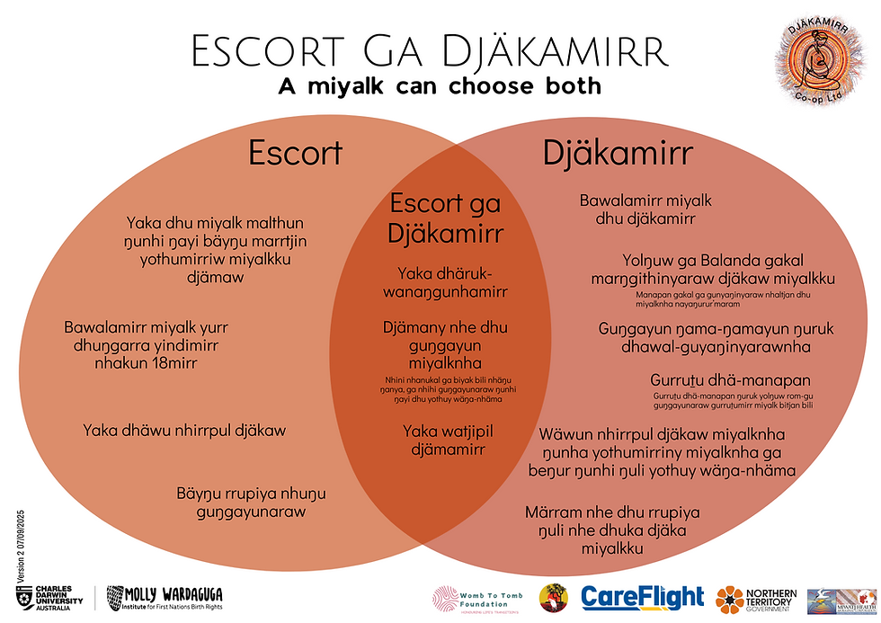 Image credit: Pandanus Mat Partnership Project: Escort ga Djäkamirr Resource