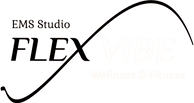 FlexVibe Wellness & Fitness EMS Studio Şeffaf Logo