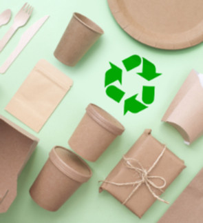 PLANT BIOACTIVES (87)_edited.jpg