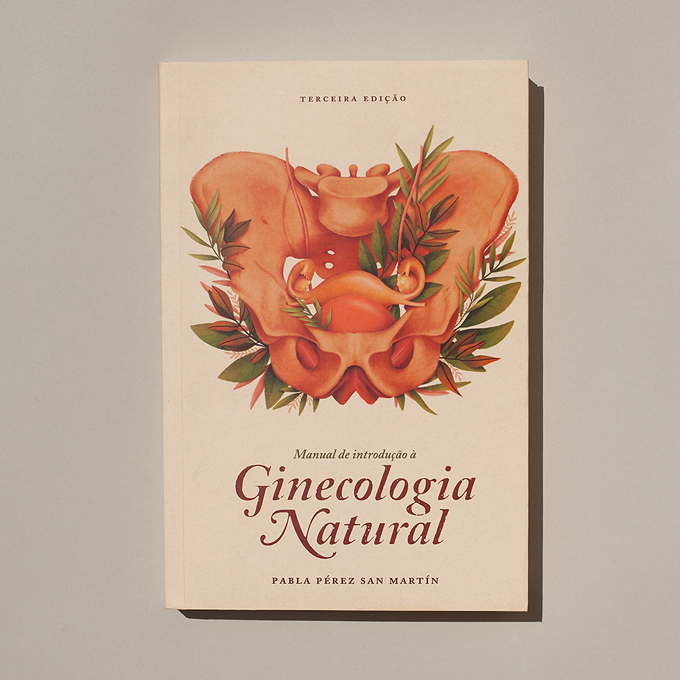 Miniatura: manual de introdução à ginecologia natural