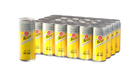 Schweppes_Tonic24 copy