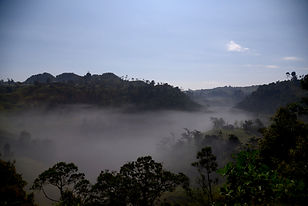 Neblina carstica.jpg