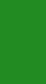 forest-green_edited.jpg