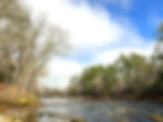 Big Shoals SP, FL (15).JPG