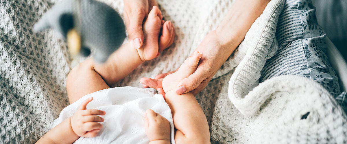 Giving Tree Surrogacy