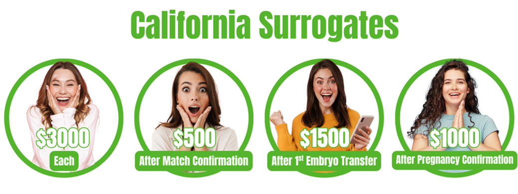 Surrogate referral rewards: $500 match, $1500 embryo transfer, $1000 pregnancy confirmation, $3000 total