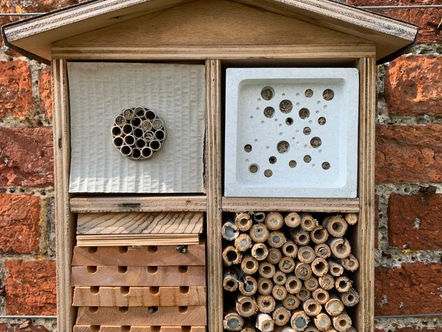 Bee Hotel Research Project
