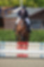 09WD1409{09 Weds - British Novice 90cm_-_154 - Alex Atherton and Ursa Minor.jpg