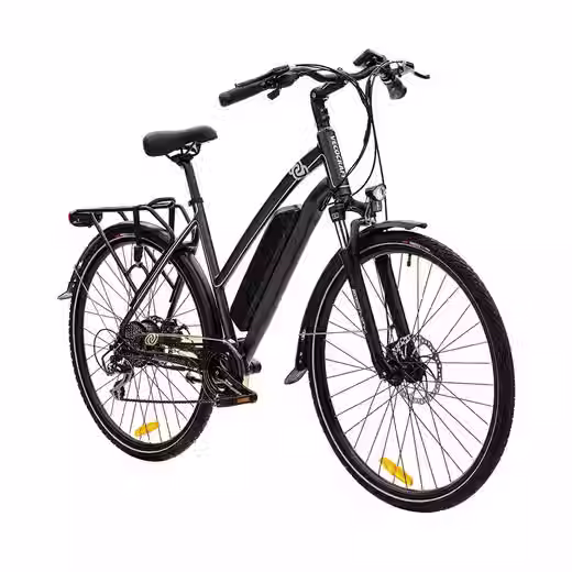 E-Bike Trekkingrad Athena