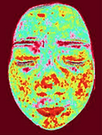 Face Analysis