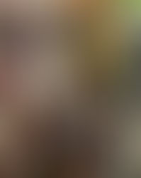 Райский уголок