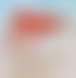 Миллион розовых фламинго на одном месте и все сразу