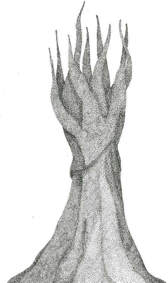 Sem titulo, 2010