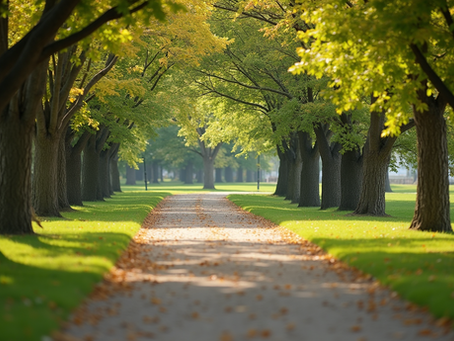 Top Retirement Destinations in Oregon