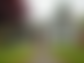 Exploring Central Point Homes for Sale