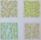 Seaweed coasters