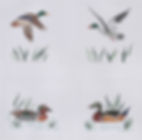 Wild duck coasters