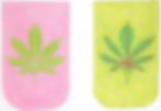 Weed glasses case