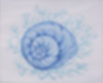 Moon snail on coral - blues