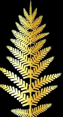 509974892_122127587294819115_65248005978
