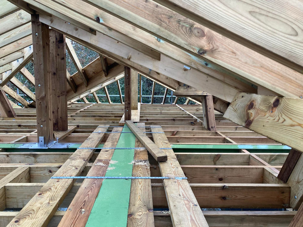 structural roof carpentry, roof structure, extension roof, hand cut roof