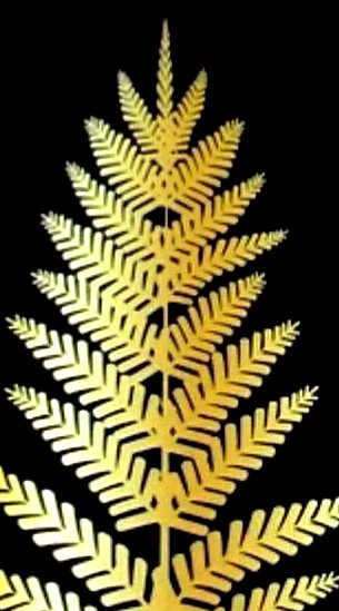 R&S Carpentry Solutions LTD's Company Logo, the colours used are black and gold. The Logo features a gold Bracken Fern Leaf