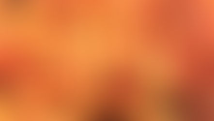 The Sweetest Tomato Sauce