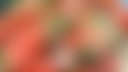 Classic Pico De Gallo (Chopped Mexican Salsa)