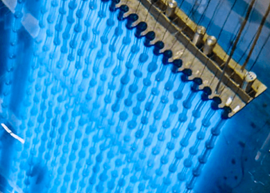 ISO 11137 Gamma Sterilization.png