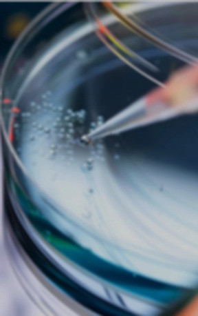 Biocompability and Toxicology Studies_ed