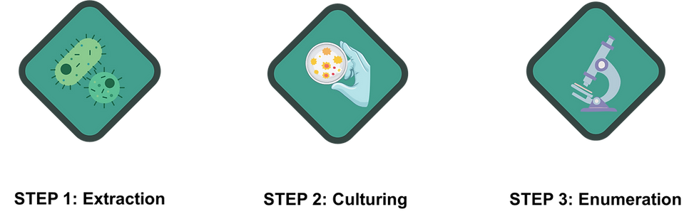 3 Basic Steps of performing Bioburden Testing