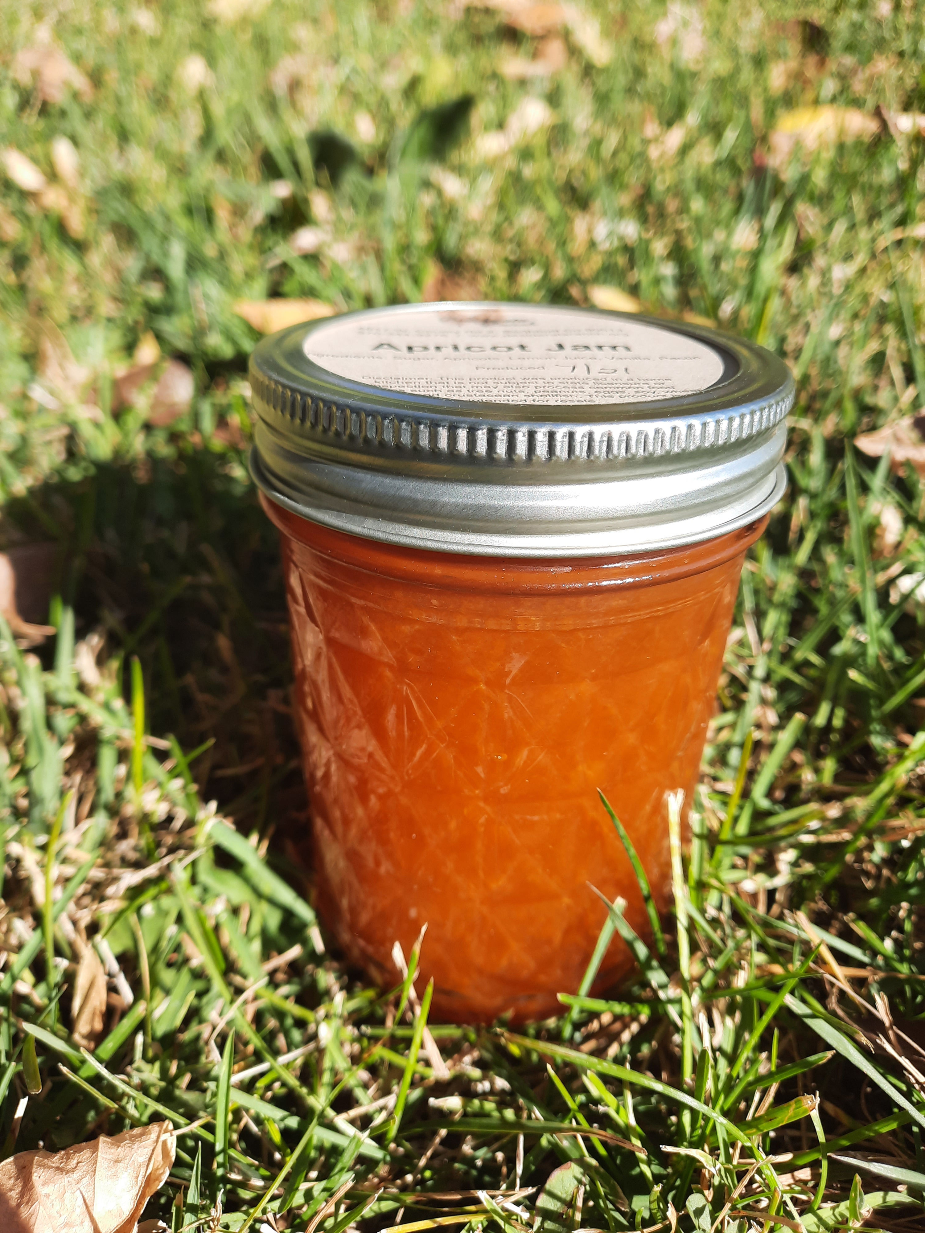 Apricot Jam