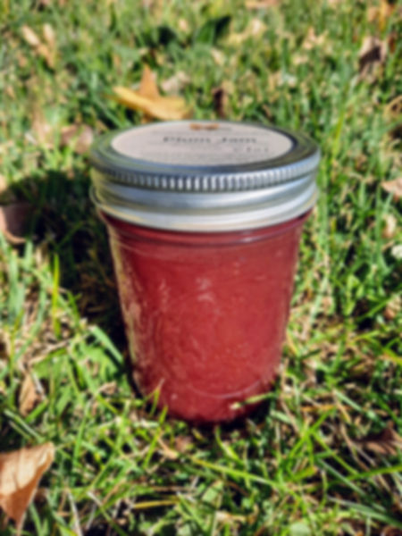 Plum Jam